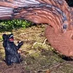 Rund-um-die-Gotzenmuehle