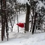 Zipfikoppnturnier