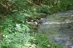 IMG-1345
