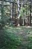 IMG-1793