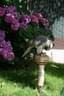 IMG-1856