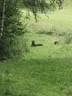 IMG-7567