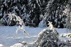 Winterparcours-2011-12-003