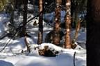 Winterparcours-2011-12-011