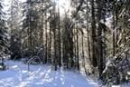 Winterparcours-2011-12-014