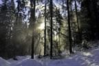 Winterparcours-2011-12-034