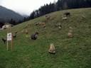 Bachwinkelchallenge-Lassi-Gedenkturnier-002