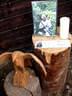 Bachwinkelchallenge-Lassi-Gedenkturnier-023