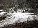 9.-5erl-Aschau-015