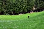Prosseggklammturnier-028