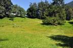 LM-Tirol-Leithen-082