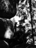 DSCN1363