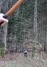 HGT-Tag2-13