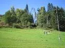 IMG-0139