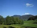 IMG-0142