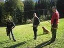 IMG-0146
