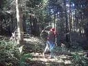 IMG-0155