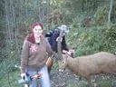 IMG-0164