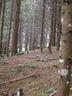 Turnier-Niedernsill-2008001