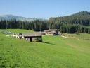 Saalfelden2009-(30)