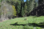 Mabow Eröffnungsturnier Bild 62