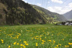 10 BSV Iseltal Turnier Bild 112