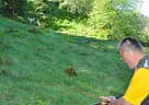 14. Glemmerhofturnier 2018 Bild 93