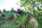 14. Glemmerhofturnier 2018 Bild 97