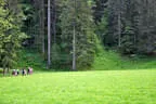 14. Glemmerhofturnier 2018 Bild 125