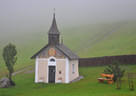 13. Saalfeldener Blattlturnier Bild 2