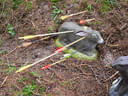 13. Saalfeldener Blattlturnier Bild 63