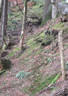 5erl BSV Pointenhof Bild 18