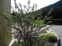 17. Dolomitenturnier Bild 9