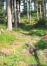 TM IFAA 3D Lakota Bild 13