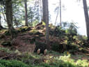 TM IFAA 3D Lakota Bild 17