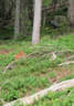 TM IFAA 3D Lakota Bild 19