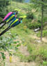 TM IFAA 3D Lakota Bild 21