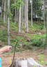 TM IFAA 3D Lakota Bild 23