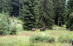 TM IFAA 3D Lakota Bild 26