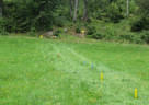 TM IFAA 3D Lakota Bild 27