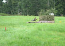 TM IFAA 3D Lakota Bild 29