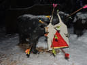 Tognochtschiassn Bild 26