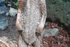 17. Glemmerhofturnier Bild 10