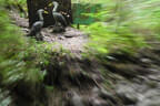 Weberbauerchallenge Bild 15