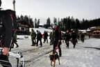 Saalfelden Bild 55
