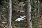 Saalfelden Bild 71