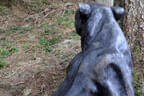 Saalfelden Bild 87