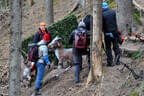 Saalfelden Bild 88