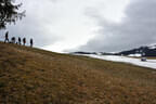 Saalfelden Bild 90