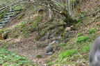 5-erl BSV Avalon Bild 22